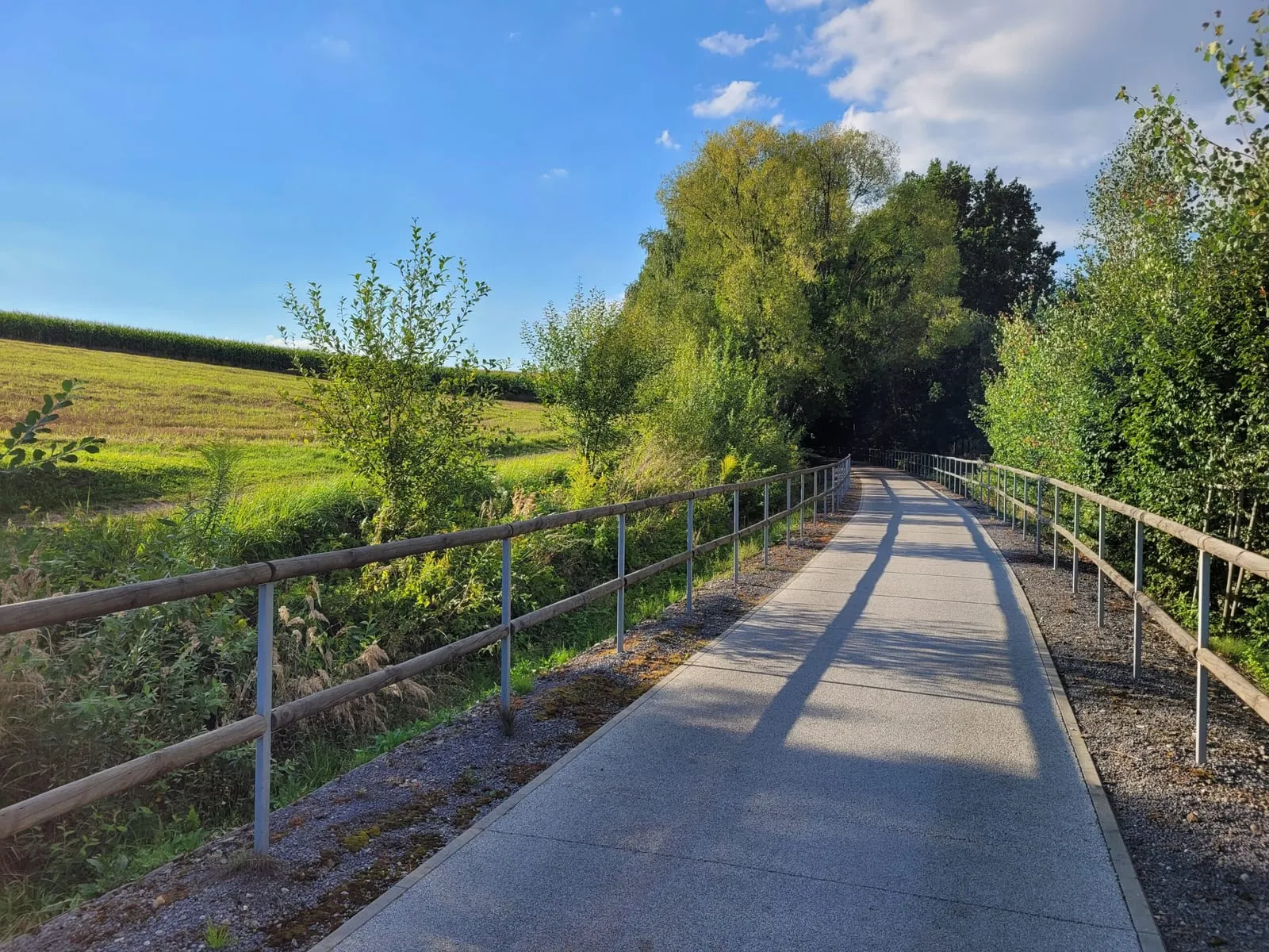 Asfaltowa ścieżka Żelaznego Szlaku Rowerowego z drewnianą barierką, po bokach łąki i drzewa