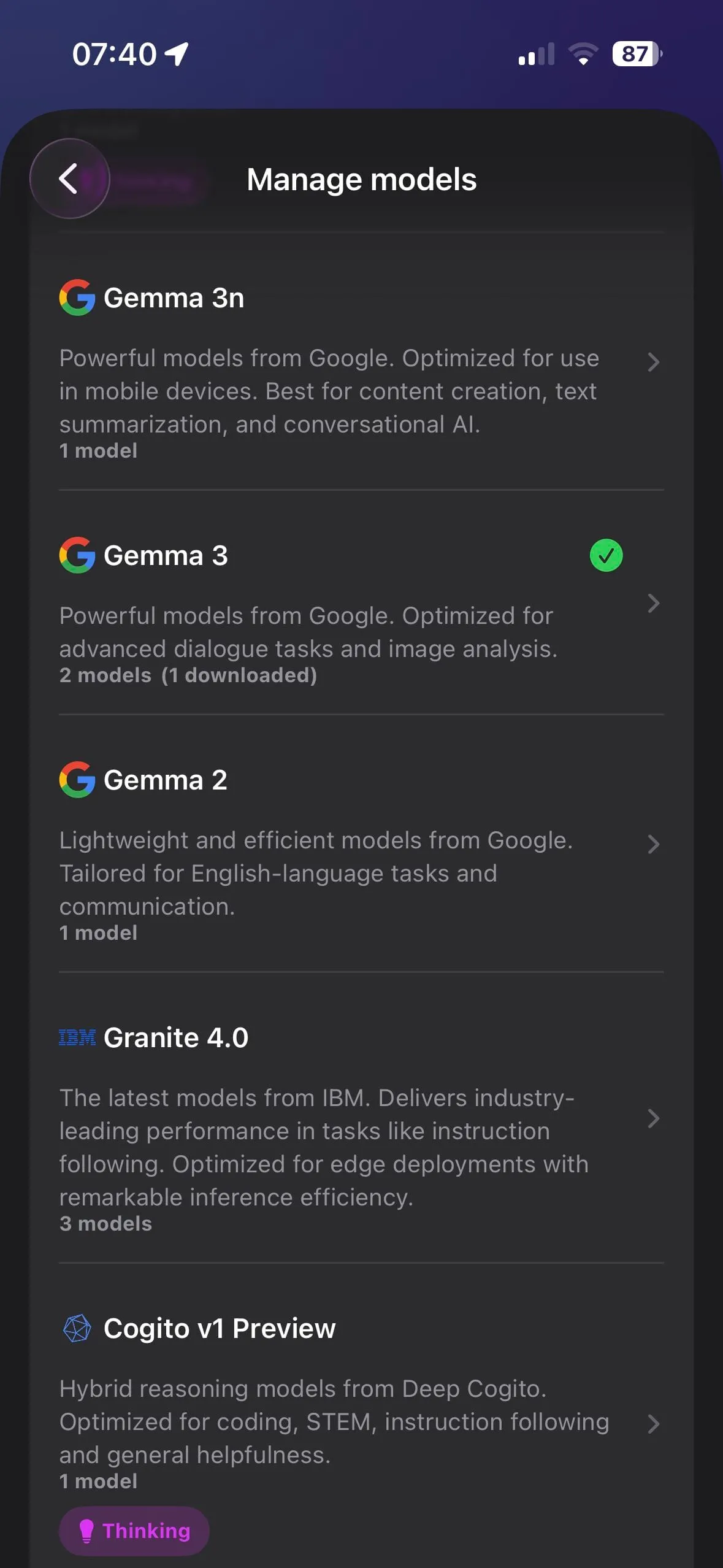 Locally AI — a conversation with the model