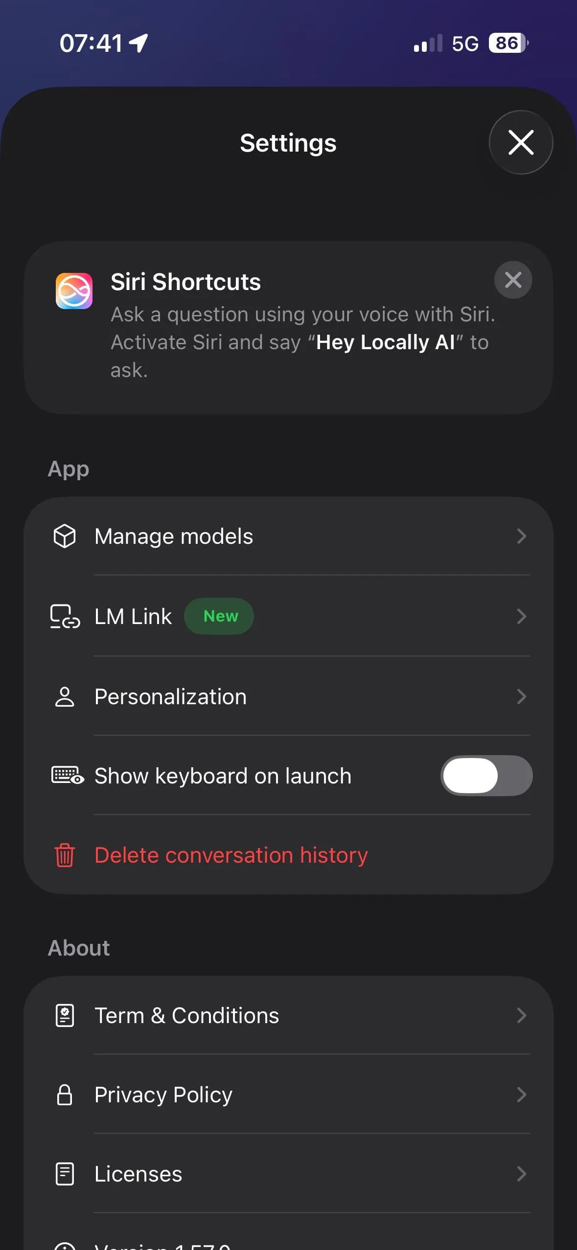 Locally AI — app settings
