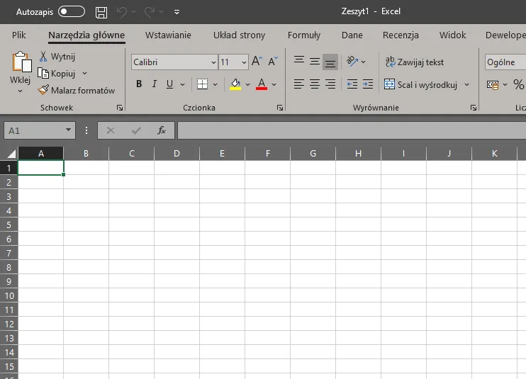 Wygląd programu Excel
